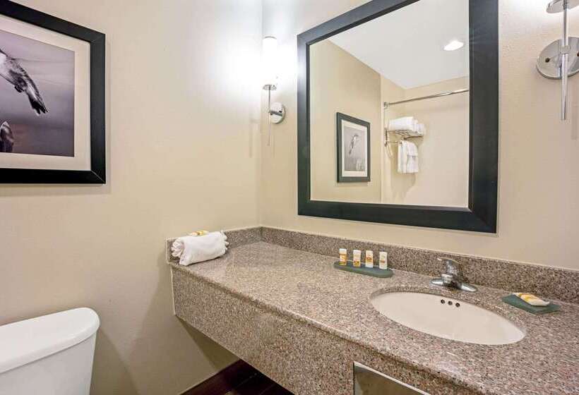فندق La Quinta Inn & Suites By Wyndham The Woodlands/spring