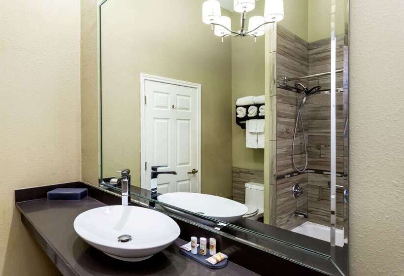 هتل La Quinta By Wyndham Laredo Airport