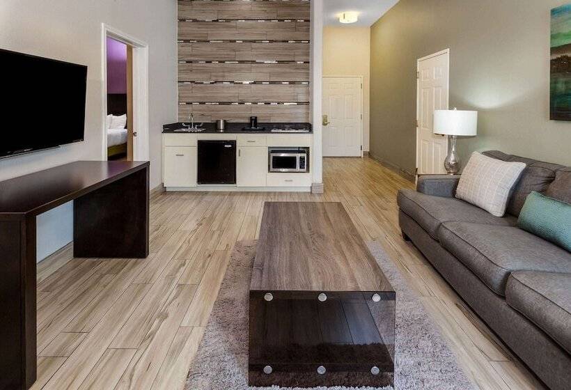 هتل La Quinta By Wyndham Laredo Airport