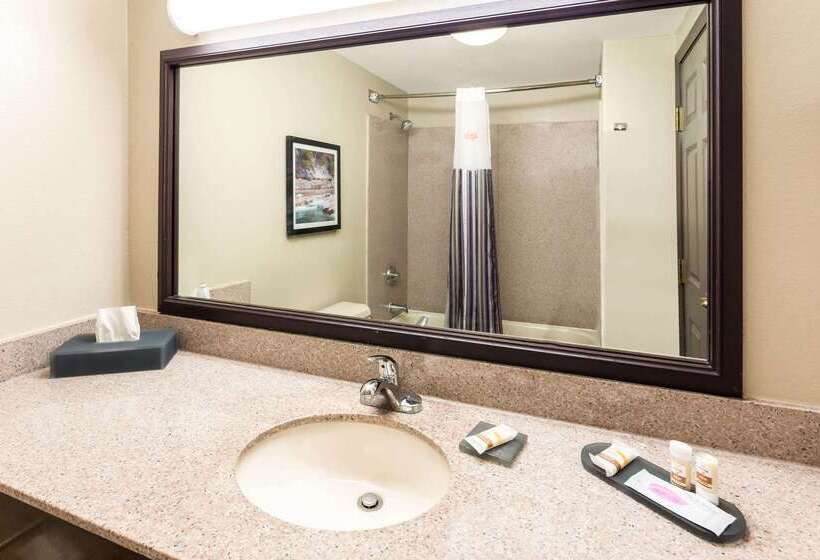 فندق La Quinta By Wyndham New Braunfels