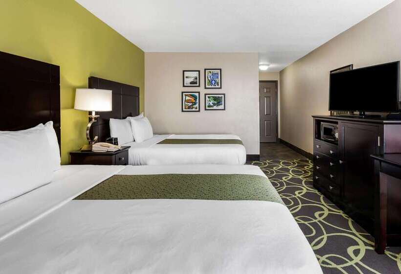 فندق La Quinta By Wyndham New Braunfels