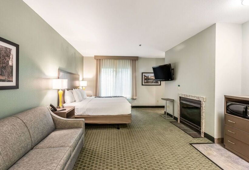 فندق La Quinta By Wyndham Newport