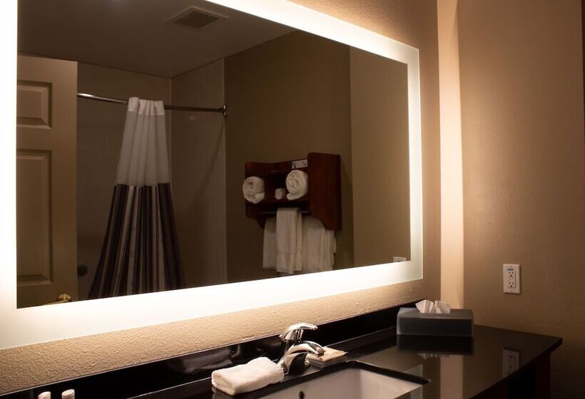 ホテル La Quinta By Wyndham North Platte