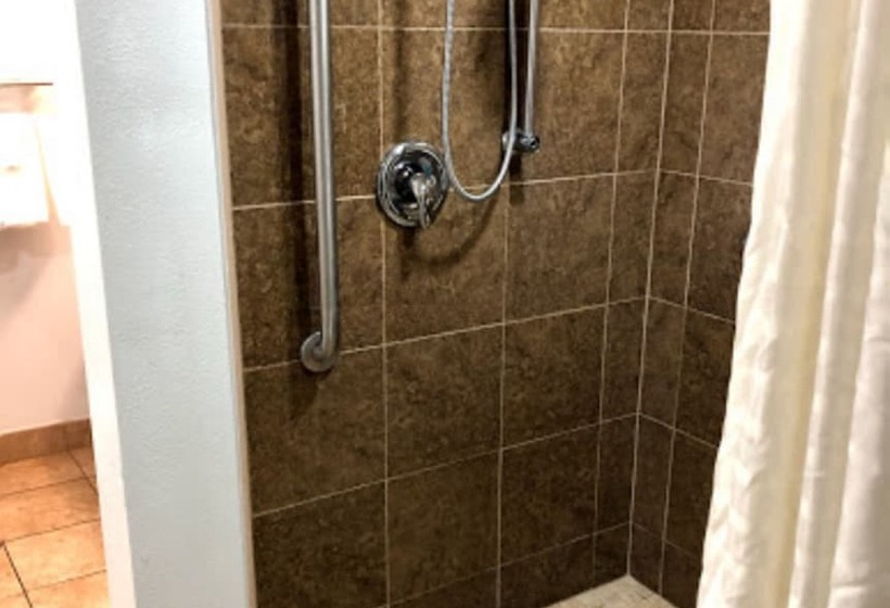 فندق La Quinta By Wyndham Oceanfront Daytona Beach