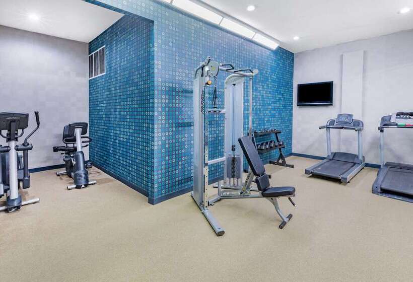 בית מלון כפרי La Quinta Inn & Suites By Wyndham Pharr Rgv Medical Center