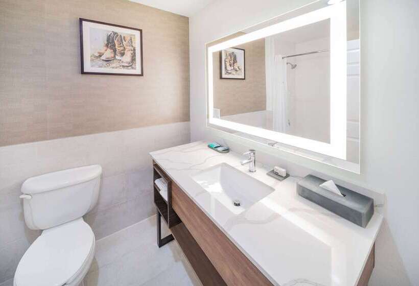 בית מלון כפרי La Quinta Inn & Suites By Wyndham Pharr Rgv Medical Center