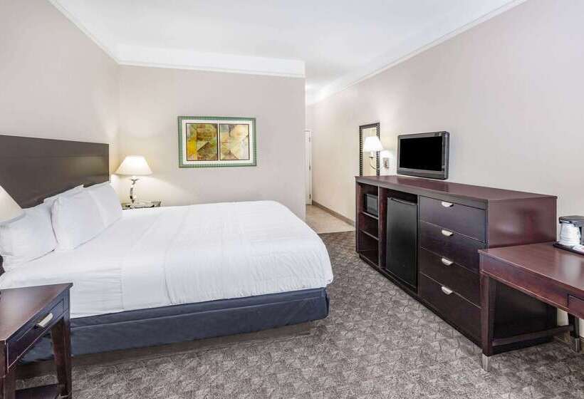 בית מלון כפרי La Quinta Inn & Suites By Wyndham Pharr Rgv Medical Center