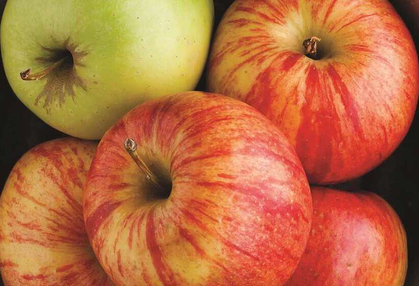 فندق La Quinta By Wyndham Seguin