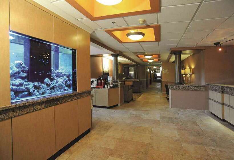 فندق La Quinta By Wyndham Springfield South