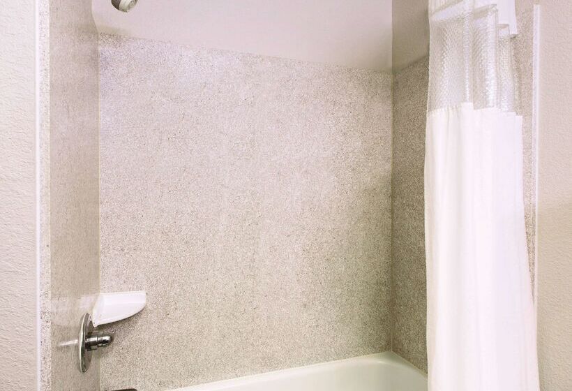 فندق La Quinta By Wyndham Tampa Bay Area Tampa South