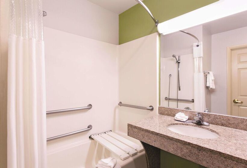 فندق La Quinta By Wyndham Tampa Bay Area Tampa South