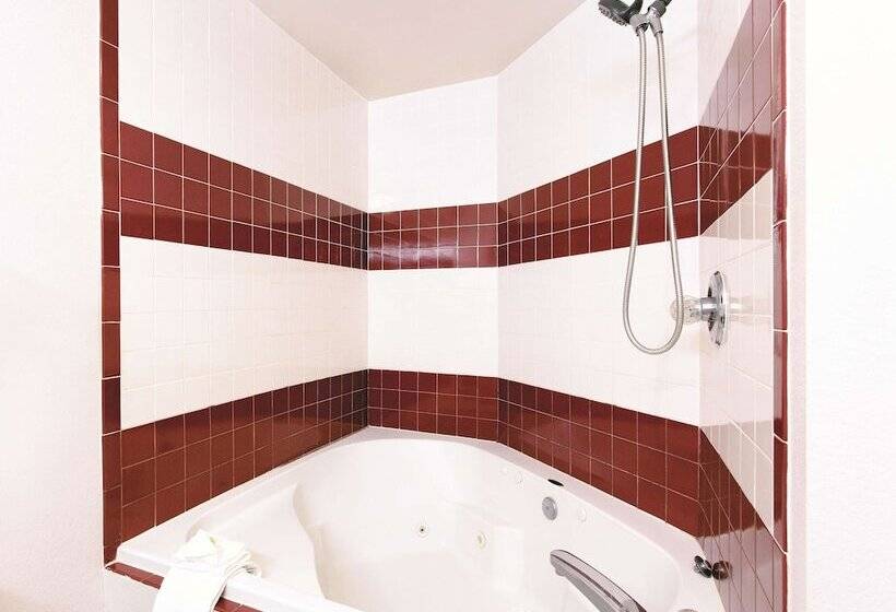 فندق La Quinta By Wyndham Tampa Bay Area Tampa South