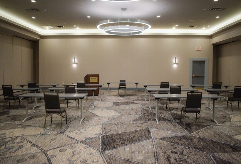 酒店 Marriott Dfw Airport South