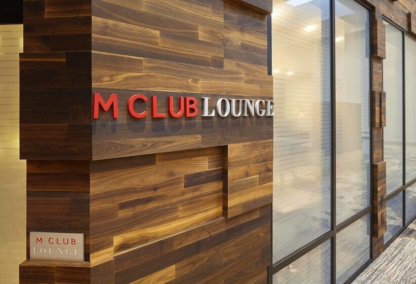 酒店 Marriott Dfw Airport South