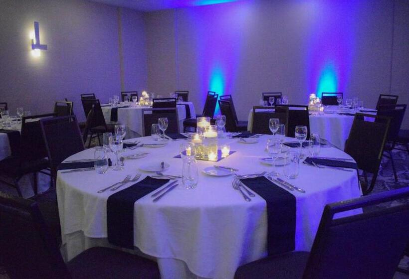 酒店 Marriott Dfw Airport South