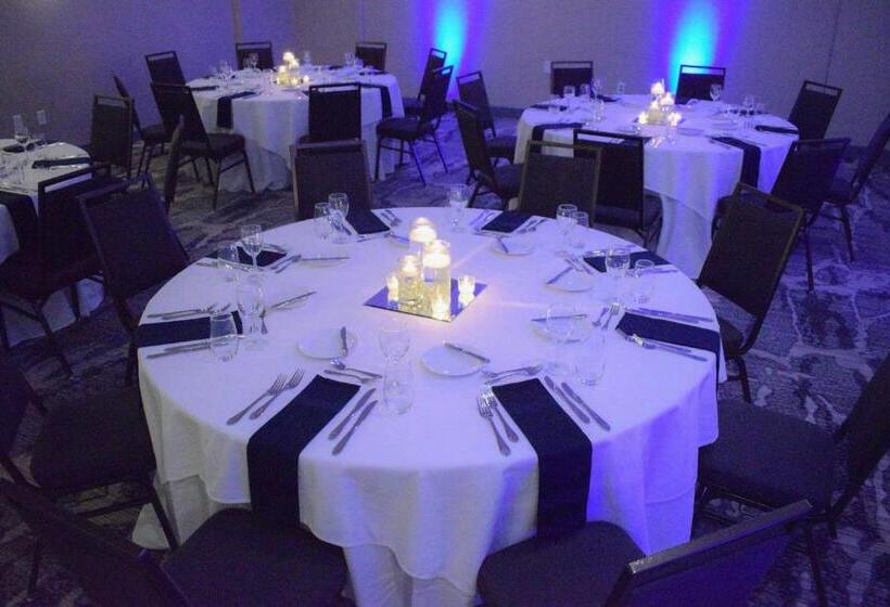 酒店 Marriott Dfw Airport South