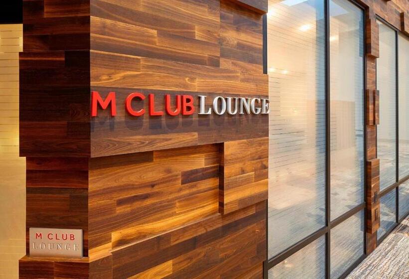 酒店 Marriott Dfw Airport South