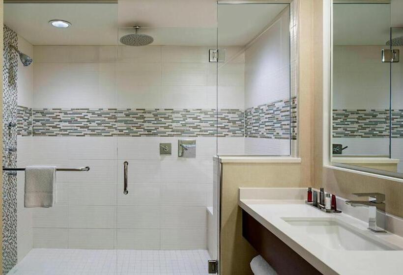 酒店 Marriott Dfw Airport South