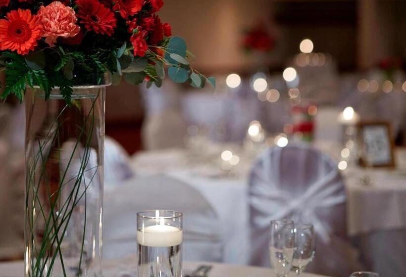 هتل Marriott Hartford/windsor Airport