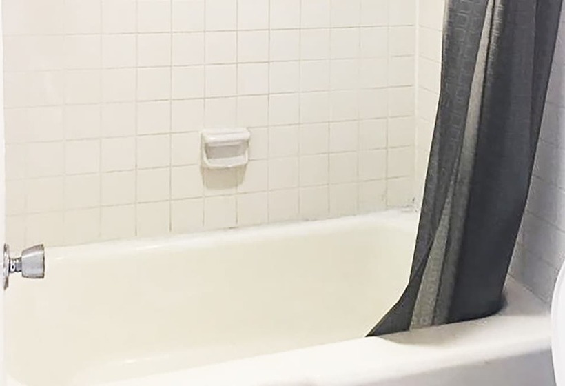 فندق Micanopy Inn