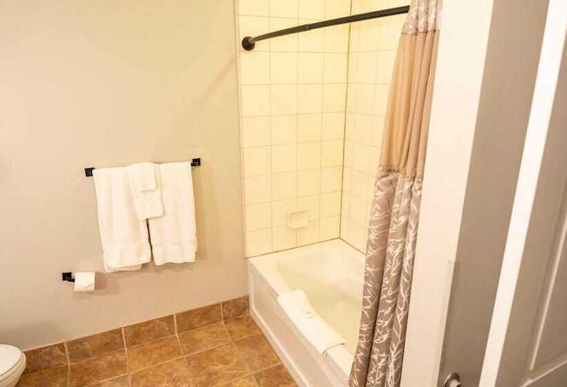 호텔 The Appalachian At Mountain Creek