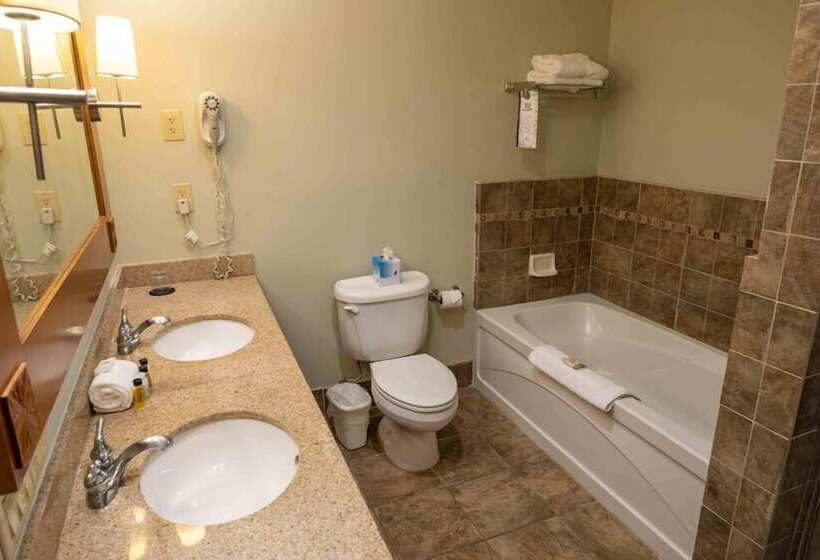 호텔 The Appalachian At Mountain Creek