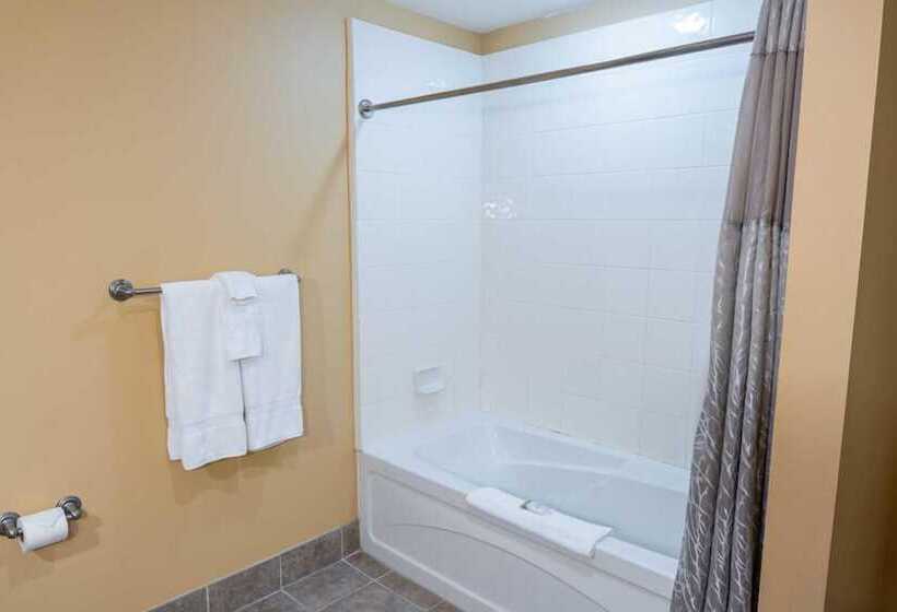 호텔 The Appalachian At Mountain Creek