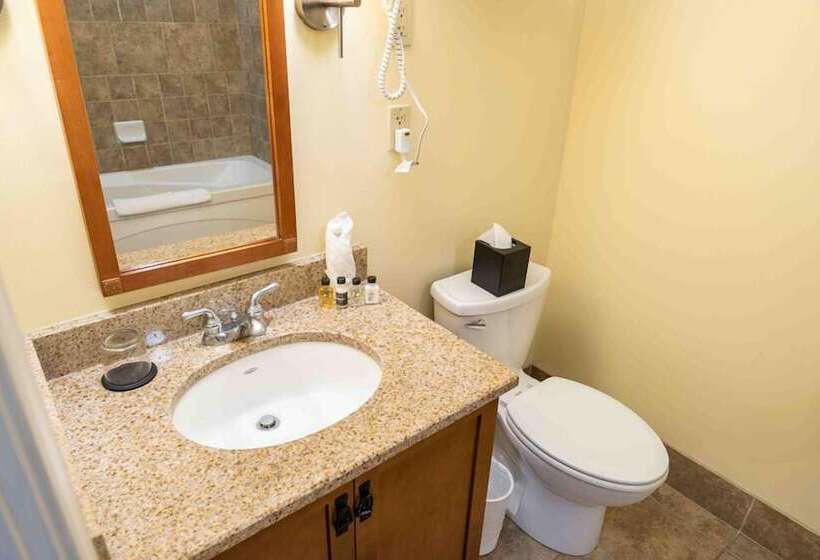 호텔 The Appalachian At Mountain Creek