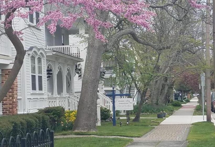 فندق Ocean City Mansion