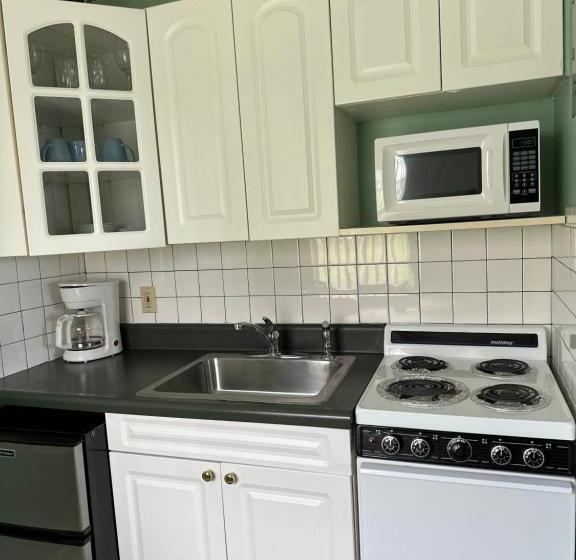 فندق Ocean Front Paradise Resort