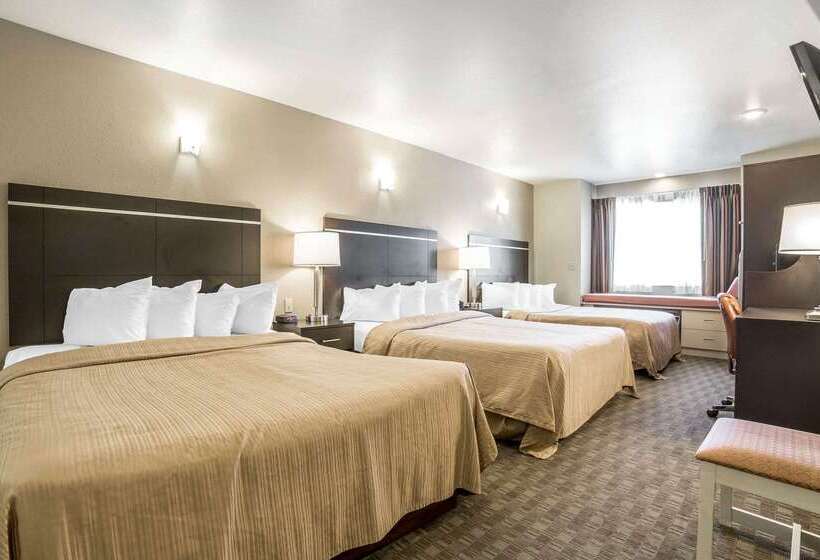 בית מלון כפרי Quality Inn & Suites Elko