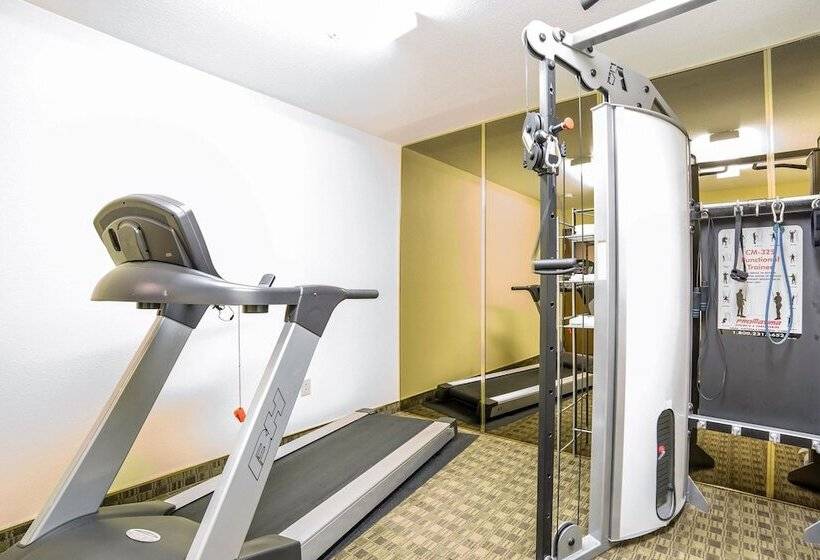 בית מלון כפרי Quality Inn & Suites Elko