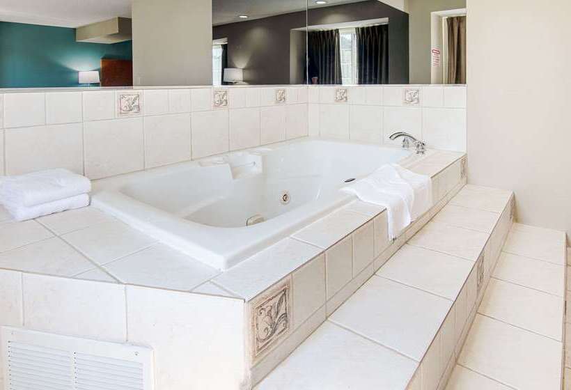 فندق Quality Inn & Suites I81 Exit 7