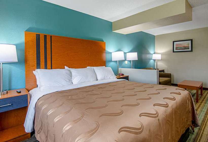 ホテル Quality Inn & Suites I81 Exit 7