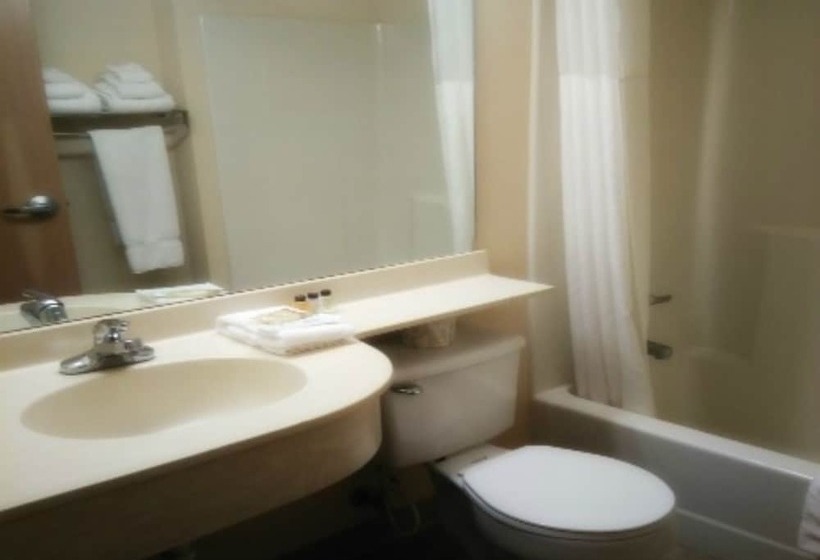 酒店 Quality Inn & Suites Prestonsburg Next To Mountain Arts Center