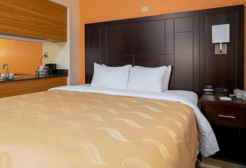 酒店 Quality Inn & Suites