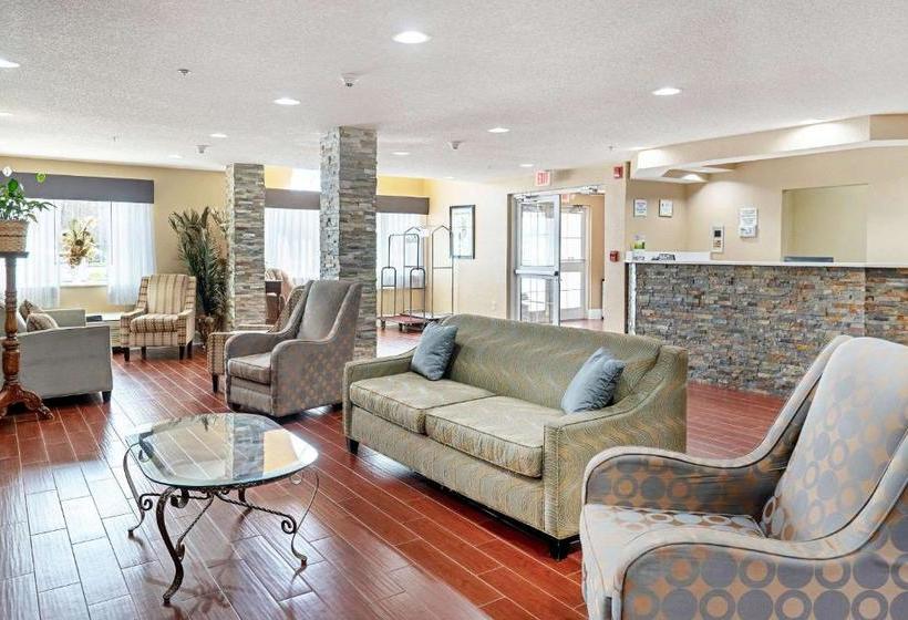 酒店 Quality Inn & Suites