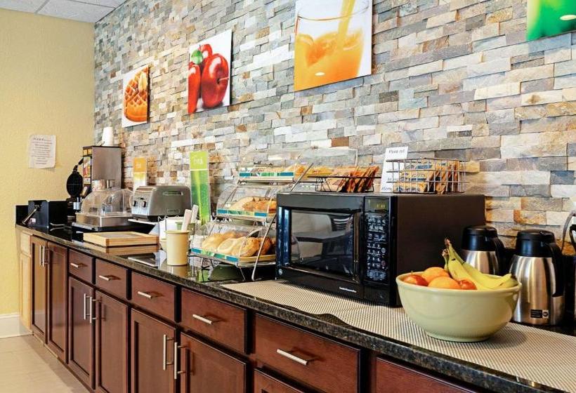 酒店 Quality Inn & Suites