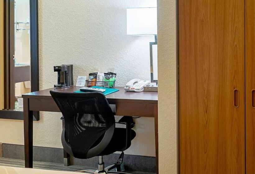 酒店 Quality Inn & Suites