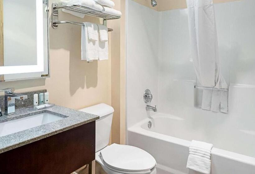 酒店 Quality Inn & Suites