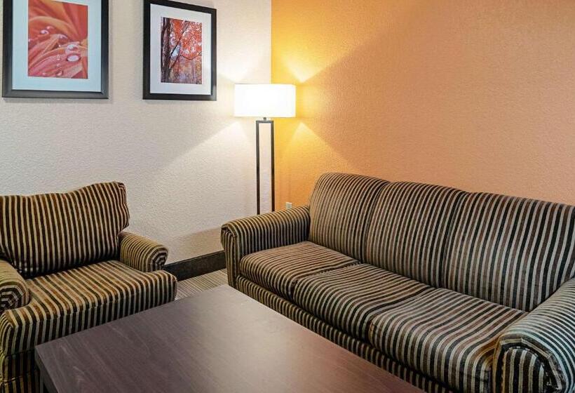 酒店 Quality Inn & Suites
