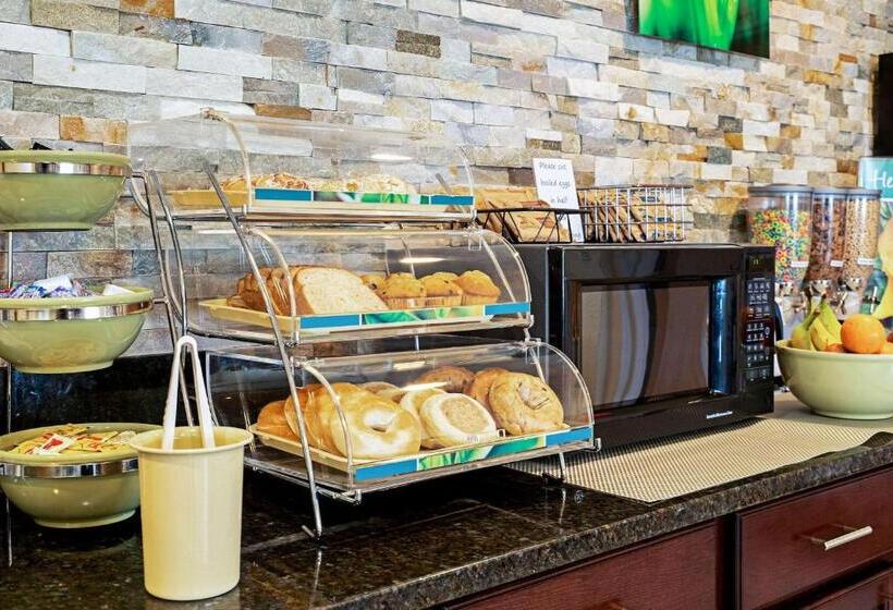 酒店 Quality Inn & Suites