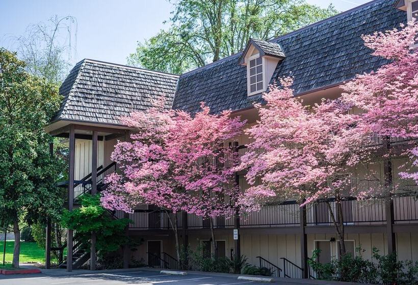 בית מלון כפרי Riverside Inn