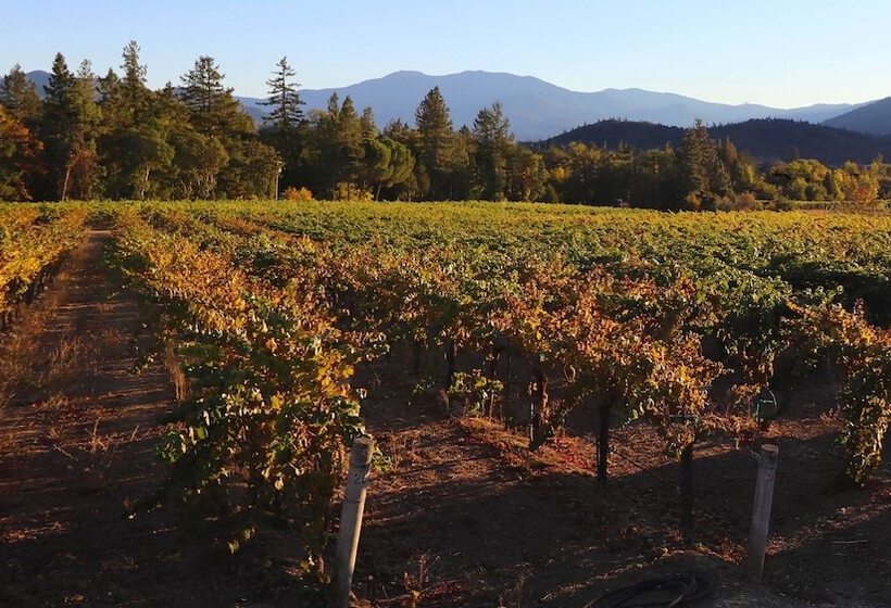 בית מלון כפרי Riverside Inn