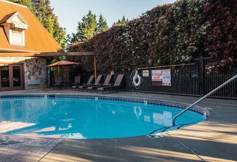 בית מלון כפרי Riverside Inn