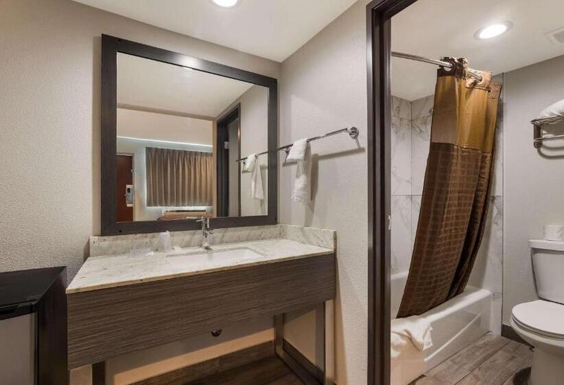 ホテル Rodeway Inn San Bernardino