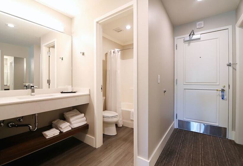 فندق Royal Amsterdam