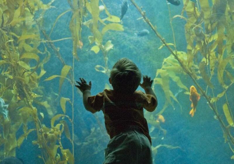 هتل San Diego Marriott Gaslamp Quarter