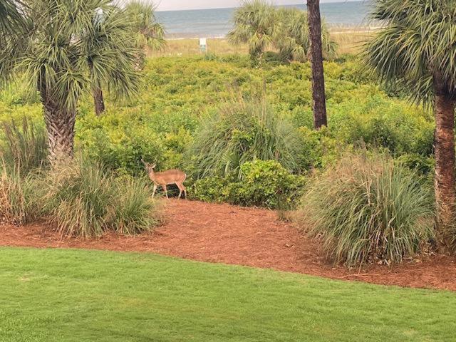 Отель Shorewood Villa Unit 210