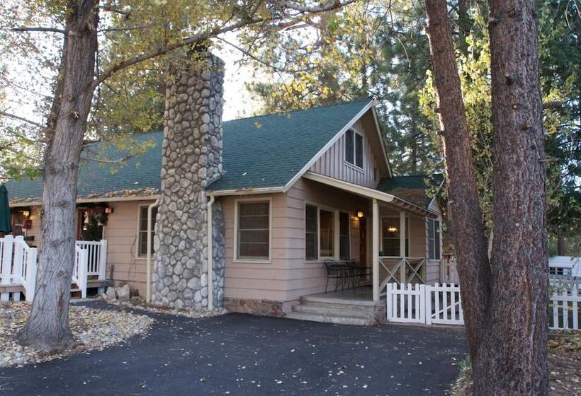 هتل Sleepy Forest Cottages